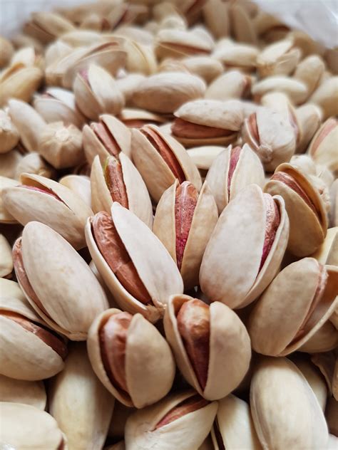Export Of Iranian Smiling Pistachios To Oman Nutex Company Nutex