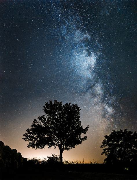 Milky Way Stars Trees Silhouettes Night Nature Hd Phone Wallpaper