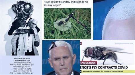 [opinion] The Fly In Mike Pence S Hair