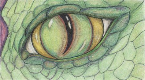 Learn to draw a dragon eye. Dragon Eye Drawing by Jennifer Skalecke