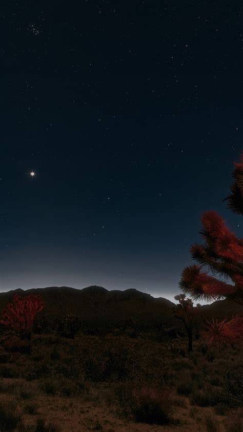 Download 750x1334 Night Mojave Desert Stars Wallpapers