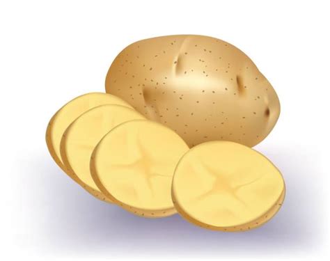 Boiled Potato Illustrations Royalty Free Vector Graphics And Clip Art