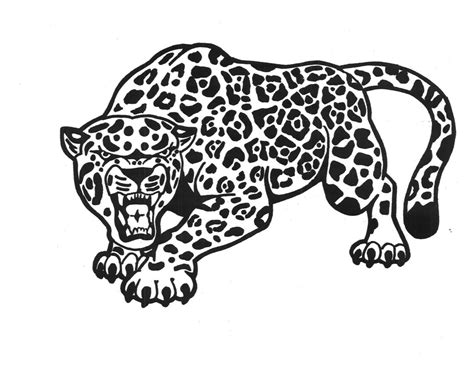 Jaguar Outline Drawing At Explore Collection Of