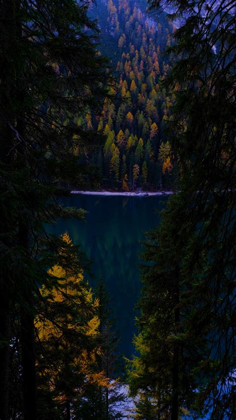 Lake Wallpaper 4k Forest Wilderness Pine Trees Cold Evening