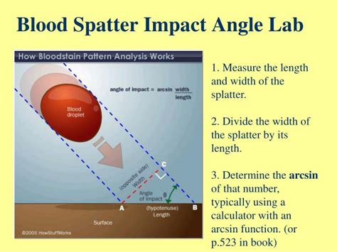 Angle Of Impact Blood Spatter Calculator