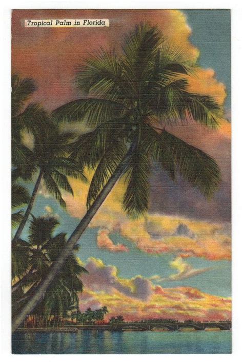 An Old Postcard With Palm Trees And The Sun Setting In The Sky Behind It