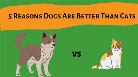 5 Reasons Dogs Are Better Than Cats Youtube