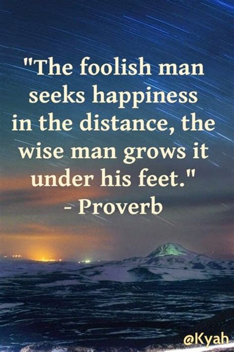 Foolish Vs Wise Proverb Wise Proverbs Proverbs Seek Happiness