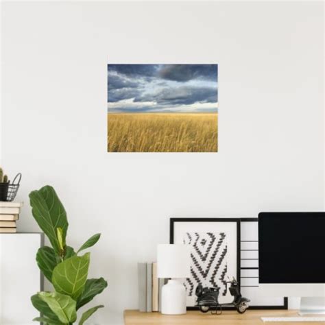 Field With Storm Clouds Poster Zazzle