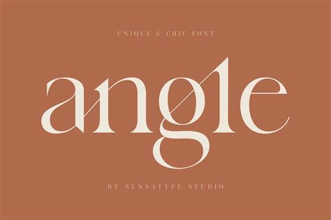 Angle Unique And Chic Font In 2022 Classy Fonts Best Serif Fonts