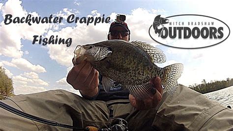 Minnesota Backwater Crappie Fishing Youtube