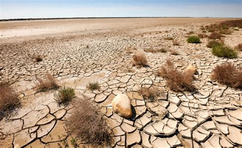 Desertificação O Que é Causas E Consequências Resumo