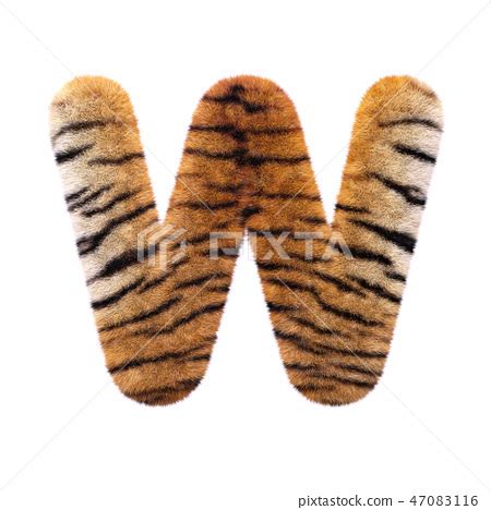 Tiger Letter W Capital 3d Feline Fur Font Stock Illustration