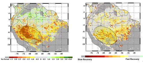 Nasa Study Finds Severe Climate Jeopardizing Amazon Forest