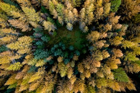 See Amazing Aerial Views Of Fall Foliage In Poland Time