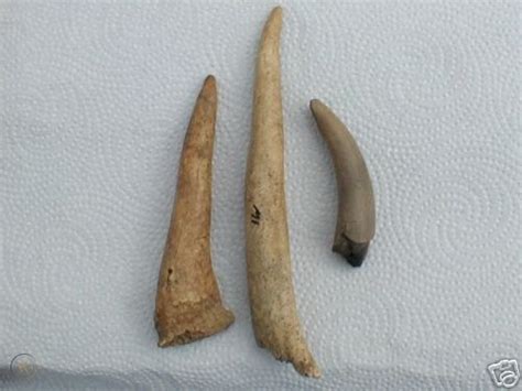 3 Antler Tools Indian Artifacts Arrowhead 36178491