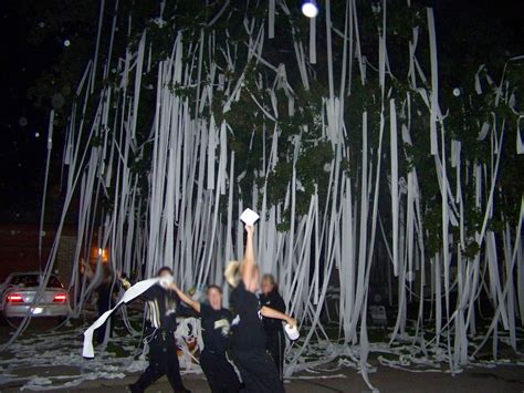 The Most Epic Toilet Papered Houses Laughtard