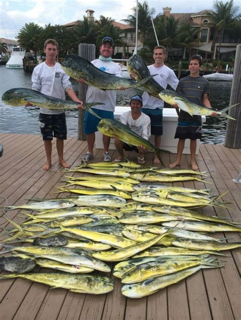 Awesome Dolphin Fishing Catch On A South Florida Fishing Trip The