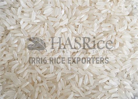 5 Broken Rice Irri 6 Rice Exporters