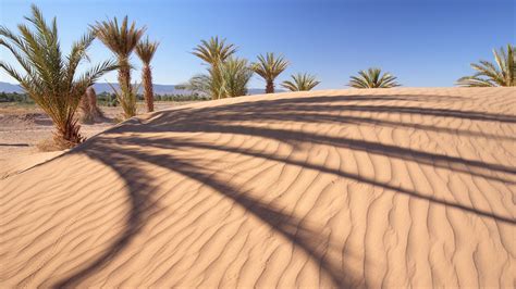 Desert Landscape Wallpapers Top Free Desert Landscape