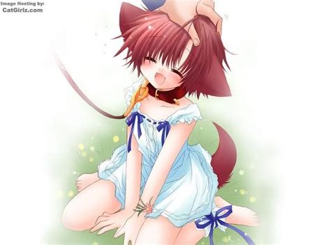 Anime Pet Girls 💞 Anime Amino