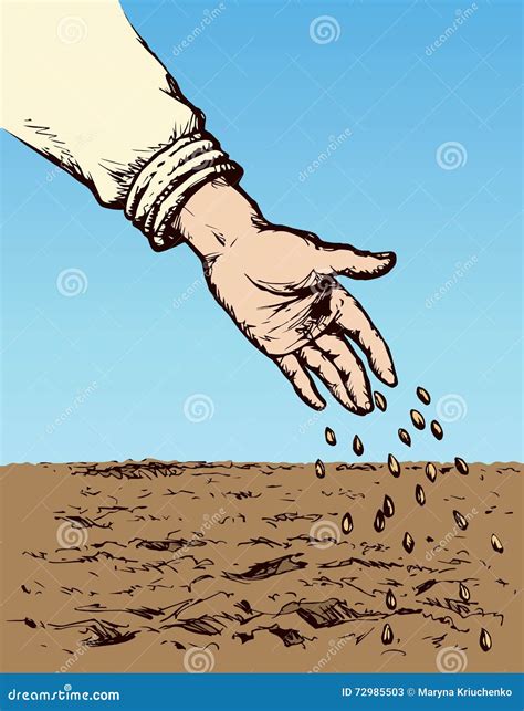 Hand Sowing Seed In Plowed Field Vector Drawing Stock Vector
