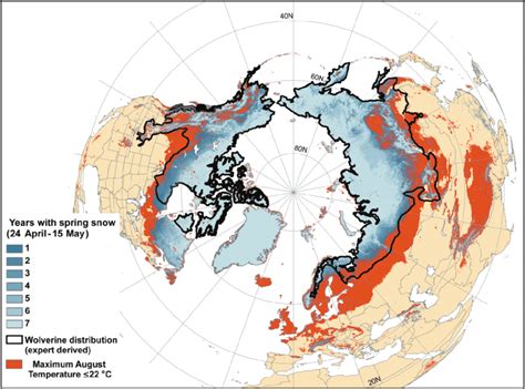 The Circumboreal Range Of The Wolverine The Black Outline Represents