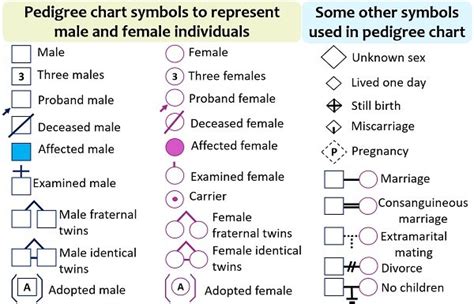 Pedigree Analysis Chart Definition Symbols Types And Examples Biology Reader