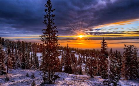 壁纸 阳光 景观 山 日落 性质 雪 冬季 日出 挪威 晚间 早上 谷 荒野 黄昏 云 树 天气 黎明
