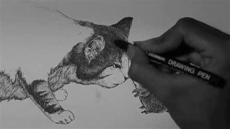 Pen & ink drawing (a simple guide). Pen and Ink Drawing time lapse : Cat and little mice ...