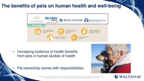 Health And Social Benefits Of The Human Animal Bond