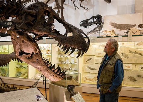 As Dinosaur Fossils Fetch Millions There’s Many A Bone To Pick The New York Times