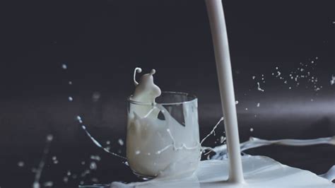 Cuál es la diferencia entre leche entera deslactosada descremada y pasteurizada Radio Fórmula
