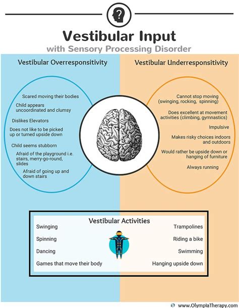 Vestibular Input Proprioceptive Activities Sensory Processing