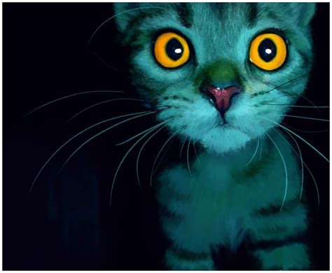 Teal Cat Gold Eyes Cats In Color Pinterest