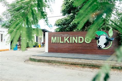 Artinya isi tabel tidak dipisahkan antara bahan untuk unggas. Milkindo, Wisata Edukasi Peternakan Sapi perah Di Malang