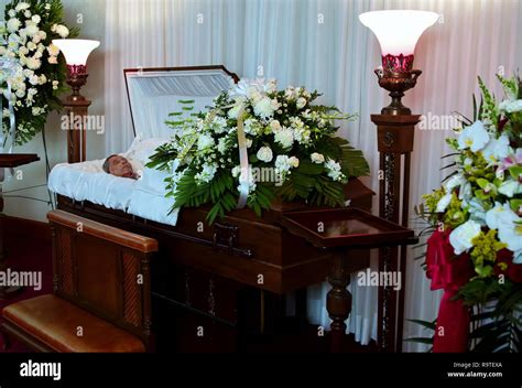 Dead flowers home hi-res stock photography and images - Alamy