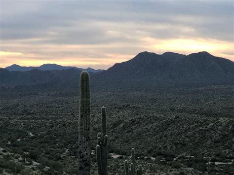 Desert Monsters Tours Scottsdale 2020 All You Need To Know Before