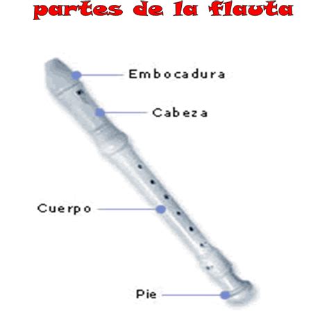 Partes De La Flauta