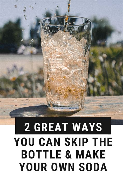 Die produktkategorie hard seltzer bedient sowohl den trend zu bewusstem und reduziertem alkoholkonsum als auch den trend zur individuellen erfrischung. 2 GREAT WAYS YOU CAN SKIP THE BOTTLE & MAKE YOUR OWN SODA ...