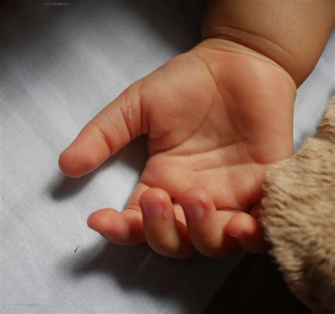 Baby Hand Free Stock Photo Public Domain Pictures