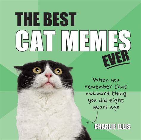 Clean Cat Memes That Are Actually Funny Sure There Are Those Famous