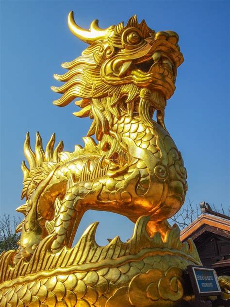 Golden Dragon Wallpaper