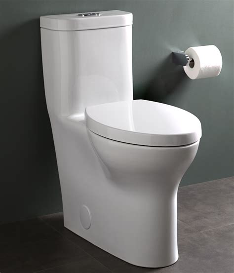 Dual Flush Toilet Lyndon One Piece Elongated Dual Flush Toilet From Dxv