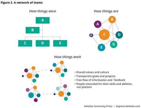 A Network Of Teams Shows How To Work Alongside Your Team To Create
