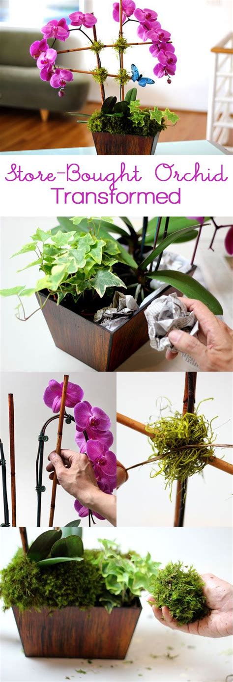 Check spelling or type a new query. Pin on DIY Ideas