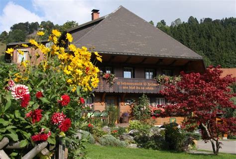 Haus erika bad mitterndorf ⭐ , austria, styria, bad mitterndorf: pretty! - Picture of Haus Erika, Wieden - TripAdvisor