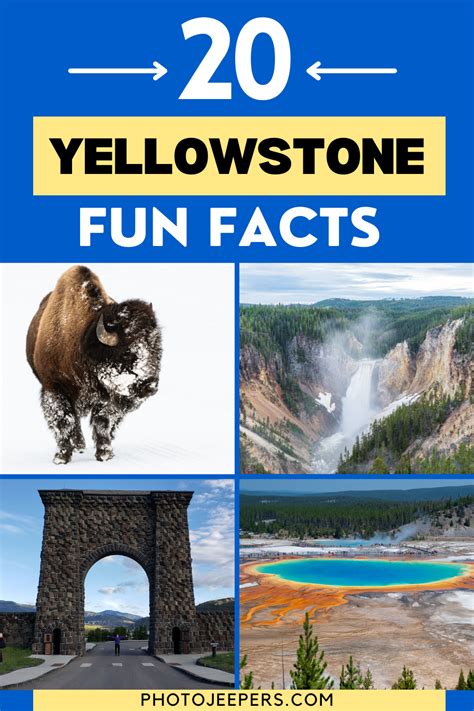 20 fun yellowstone national park facts photojeepers