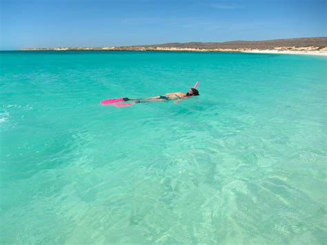 Turquoise Bay Exmouth In Western Australia Tours And Activities Expedia