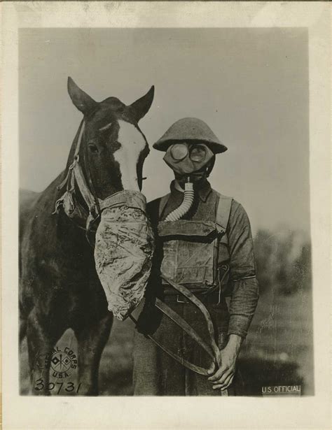 Protecting Horses And Soldiers From Chemical Attacks In Wwi